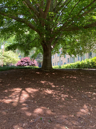 Briarcliff-Normandy - Charming 1br, 1ba w/porch - great location -. Emory/DruidHills/ViHi/Morningside