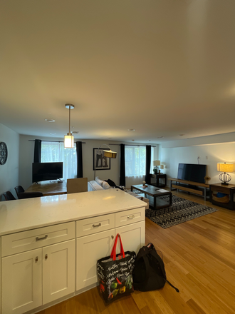 Kitchen / Living / Dining - Furnished Luxury 3 bed 2.5 Bath unit for $2500 Triplex