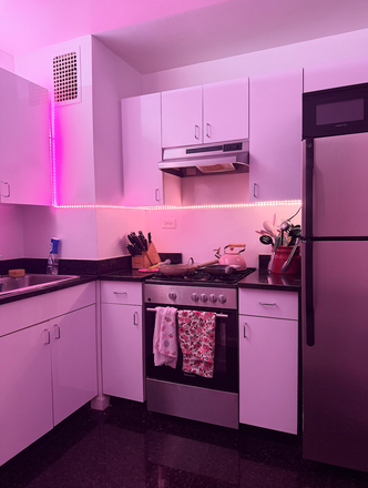 Kitchen - Two Bedroom Near Union Square, Looking for Female Identifying Roomate Apartments