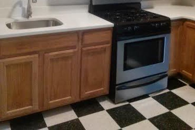 - Luxuriously Large 4 br 1 bath Apartment on Dudley Street