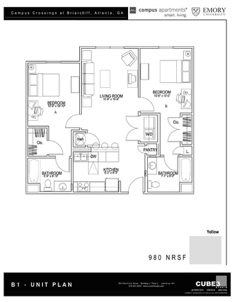 Full Unit Plan - CC Briarcliffe