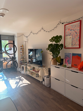 Living Room - Fully Furnished 1bd/1ba Apartment (Gym, wifi, utilities included)