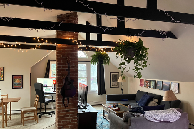 The main living space! It’s really spacious and cozy, great for chill time reading, watching movies, hosting friends, jam sessions, and boar - Porter Square Apartments