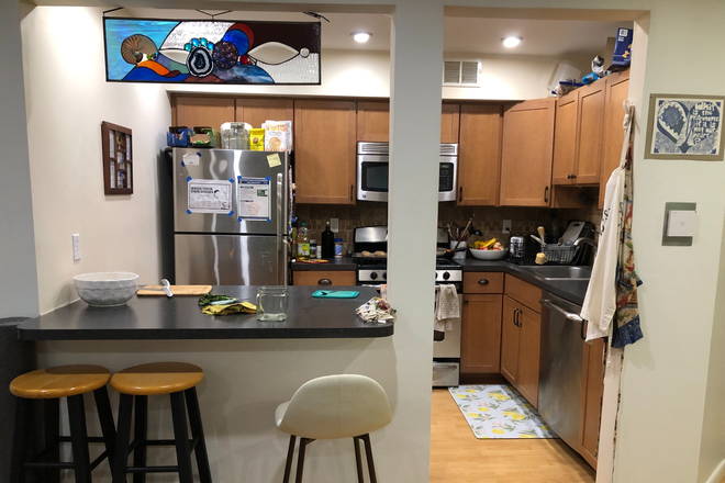Kitchen & bar - Furnished room in shared apt-Trinity Ct-Princeton