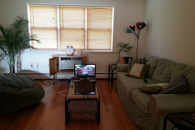 Living room - NEAR UCONN LAW _ FULLY FURNISHED Condo