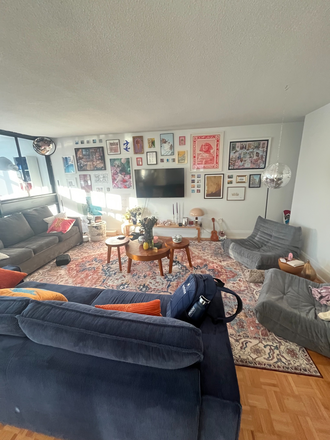 Living room - 1 bedroom in a 3-bed/2-bath available to sublet from May 1-July 31 !! (flexible dates!)