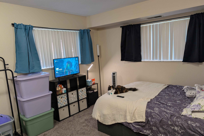 Bedroom 2 (corner bedroom) - has two closets and two windows! - 2b/1b close to campus - first month rent free! Apartments