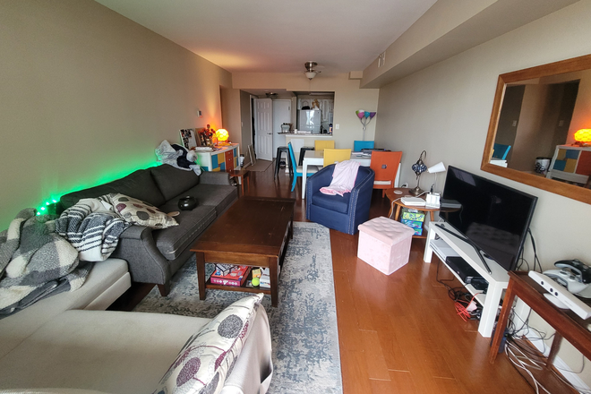 Living room updated - 2 Bd 2 Bath, 2 Metro Stops from AU