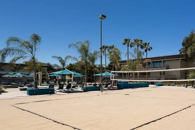 Beach Volleyball Court - AVA Pacific Beach, Apartment about 7 miles from campus.