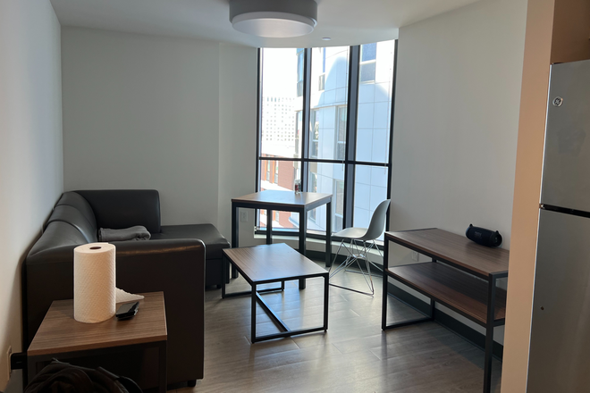 Living Room - Sublet, All Inclusive Rent, Private Bedroom + Bath in Fully Furnished 2BD/2BA, Steps from NEU