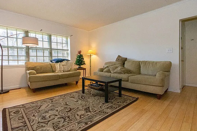Living Room - 1 Room Available in 3BR Brighton Apt with BC Law Students