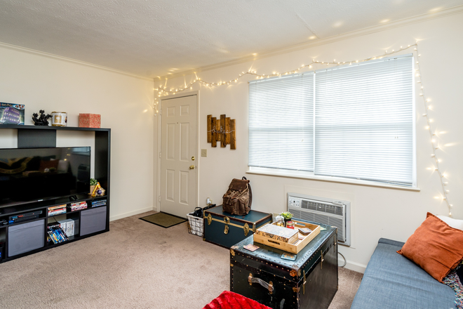 Living Room - 1337 Walker St. 1BR Apt, Great Location, Available August, all appliances, Close to Campus