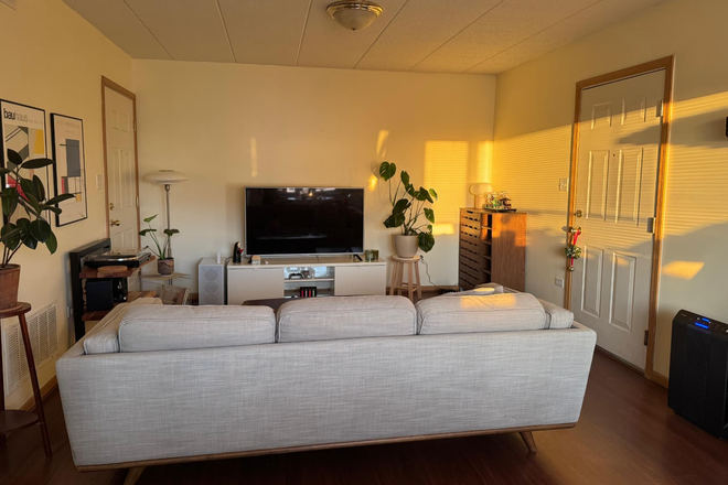 living room - 3B2B Apartment in Chinatown - Available Late August
