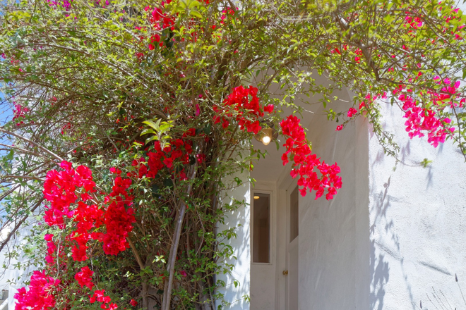 Entry - 1+ bedroom flat 10 min from UCB (Arlington Ave at Sunset)