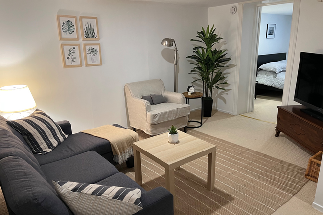 Living room - Beautiful Furnished 1-Bedroom Apartment | Humewood/Cedarvale | All Utilities Included