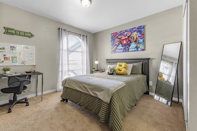 Staged photo of bedroom - College Town USF