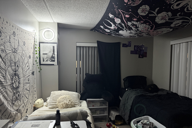 Room shared, white side would be yours - Close to campus Apartments