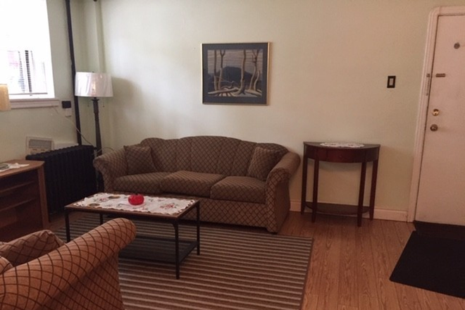 Living room (incl. pull-out love seat) - Private Bright Furnished Basement One-Bedroom Apartment