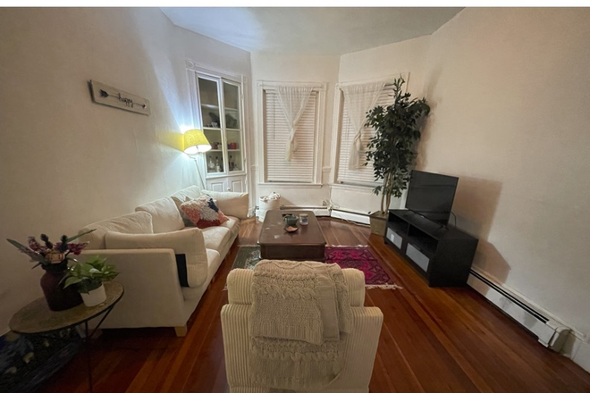 Living Room - Room in Mission Hill Apartment Available