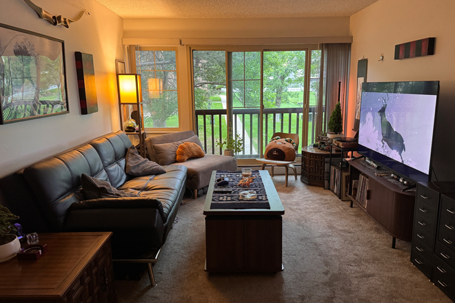 Living room - 860 West Moorhead Circle