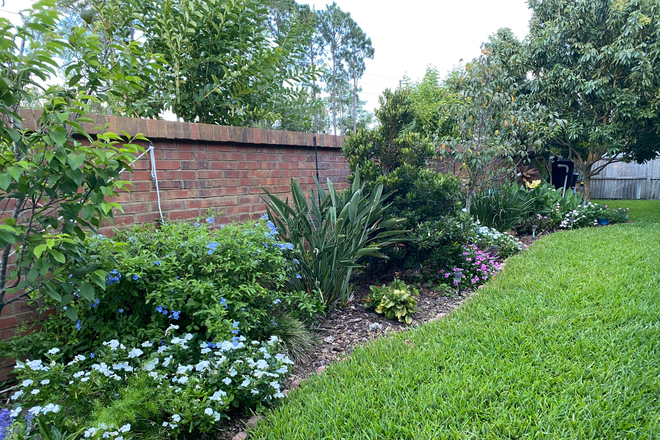 Backyard - Room for rent in private home/2 miles campus, UCF