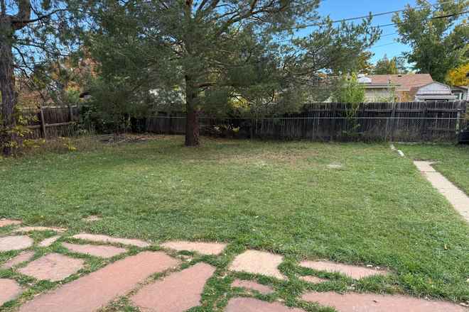 Backyard - Sunny and Bright 3 Bedroom House