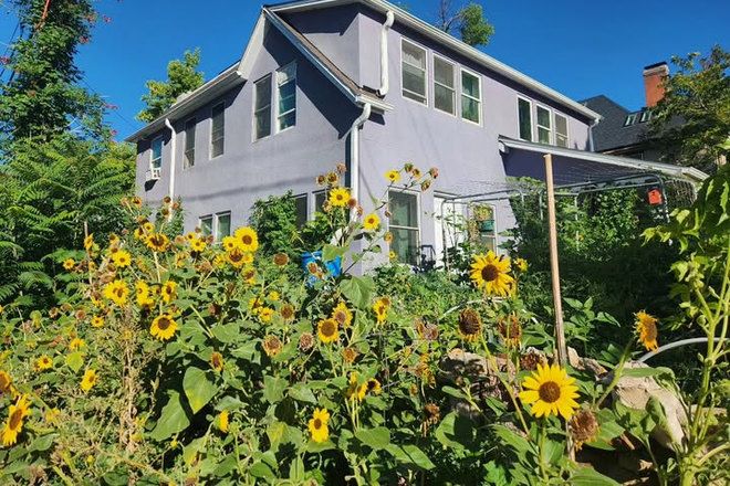 Picture of Chrysalis Co-op with sunflowers in bloom out front. - Chrysalis Co-op House