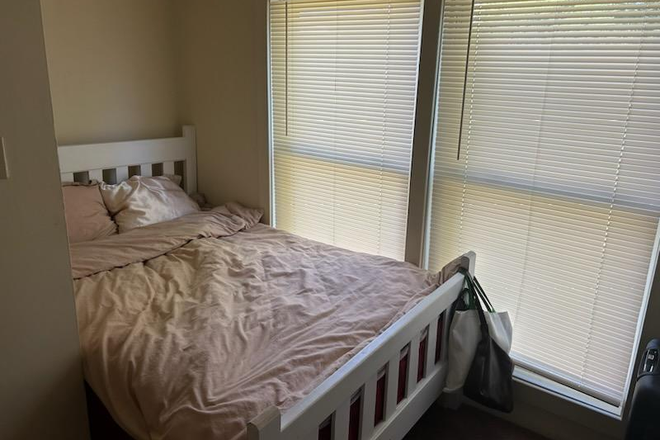cozy room with lots of sun! - Puffton Village Apartments Room, Close to campus, good bus access. HAVE CAT + SHARED HOUSING