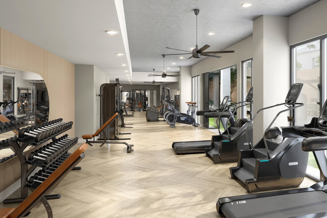 Gym - Pique