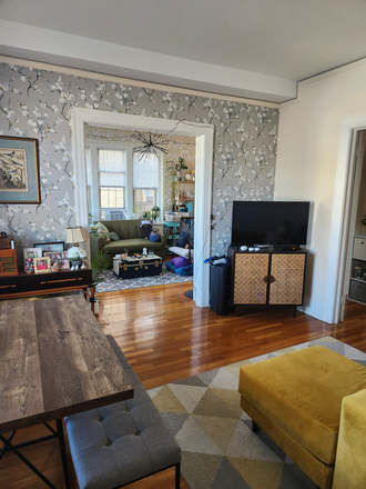 Living room - Large 1BR/1BA Apt Sublet, one block from Homewood campus