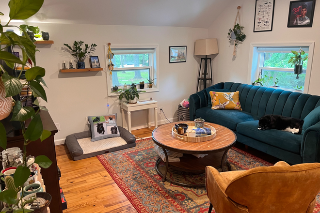 Living dining room - 1 brm loft