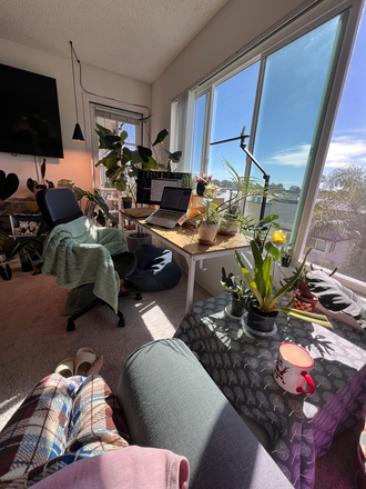 living room - Veranda La Jolla