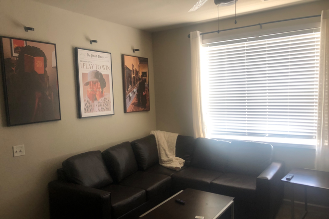 The common room is lightly decorated with pictures, lights and curtains - Lark Tuscaloosa