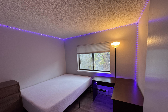 Bedroom Bed/Desk - Fully Furnished Room 20 min walk from campus, close to Pearl St. and 29th St. Mall