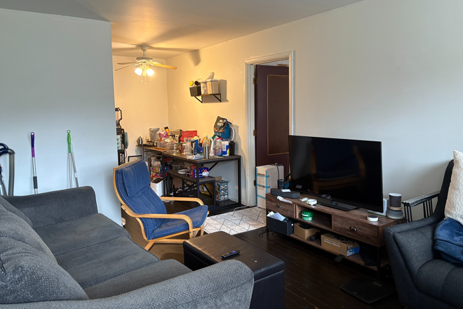 Living room - One-bedroom apartment