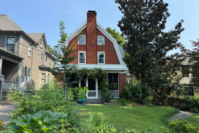 House front garden - Historic home in Trinty Park, 200 yards from East Campus.