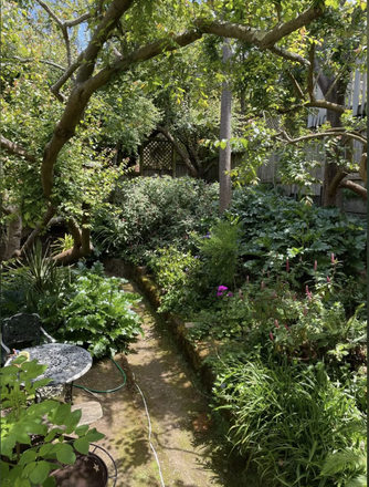 Backyard - Room Available in four bedroom house in Noe Valley