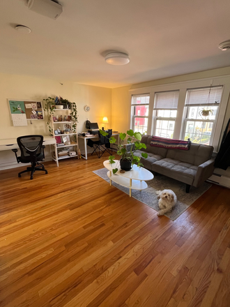 Living room - 1 bed 1 bath summer sublet Apartments