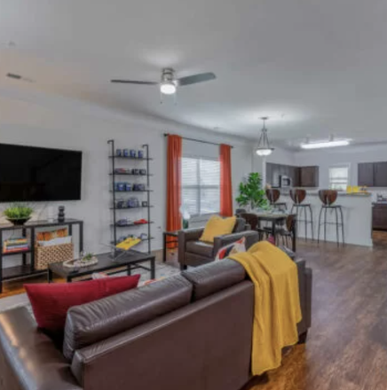 Living room - Brexx at Blacksburg