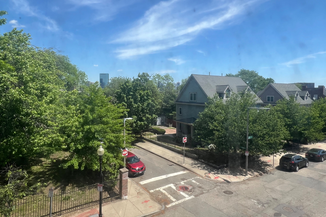 Summer views - Large, spacious room w hardwood floors & large closet in great apartment with professional roommate