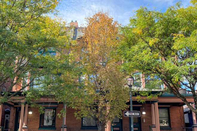 40th & Spruce - 312 S. 40th St. House