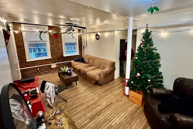 living room - Large 1 bed split for 9/1 - no fee! Apartments