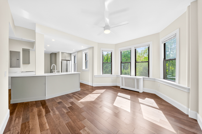 living room - Recently Renovated Coolidge Corner 1 bed with in unit laundry and parking - NO FEE! Apartments