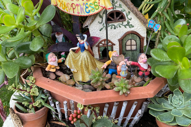 I make miniature gardens called Fairy Gardens - PRIVATE STUDIO ROOM Furnished Clean Quiet Safe, PRIVATE BATH, KITCHENETTE House