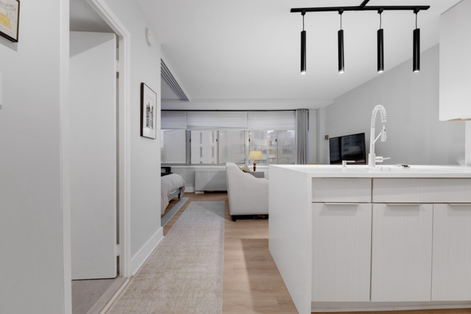 Waterfall bar in kitchen - Charming fully renovated, FURNISHED, and thoughtfully designed studio - feels like a one-bedroom Condo