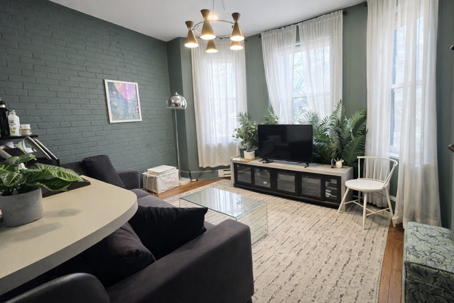 Living Room - 2027 Spring/Summer Furnished Sublet Fenway garden area