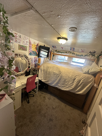Bedroom - SPRING SUBLEASE 800/MONTH