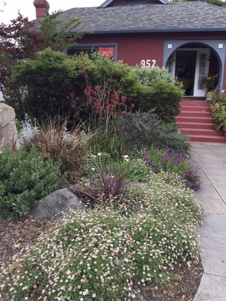 Front of the house - Private Room, Bathroom, Private Entrance, Furnished, in House