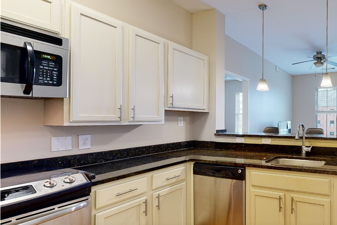 Kitchen and Living Space - The Oaks on The Square - Lease Transfer - Walking Distance to Campus