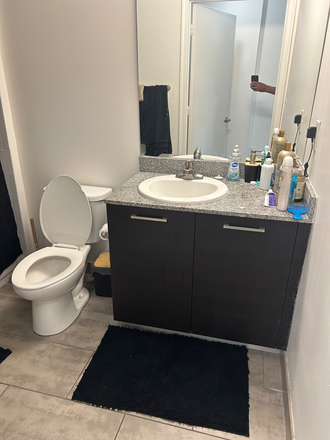 Bathroom - 109 Towers Apartments